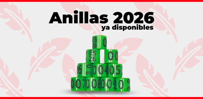 anillas 2026